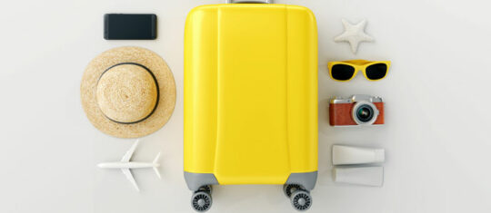 Valise
